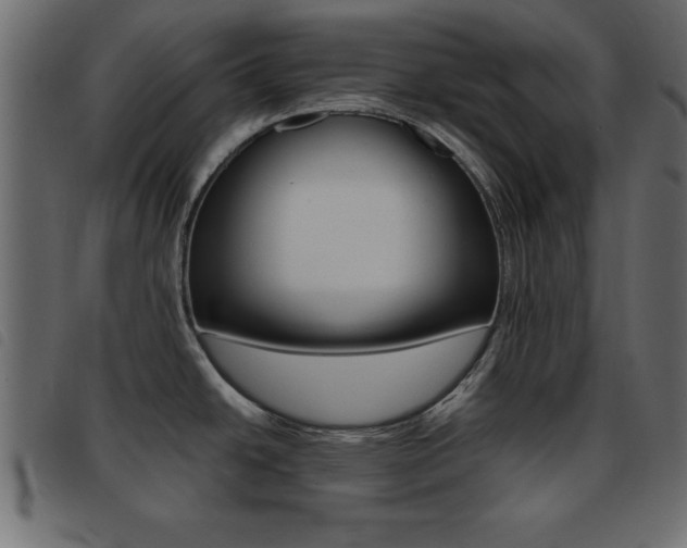 X0000093461438200710120940