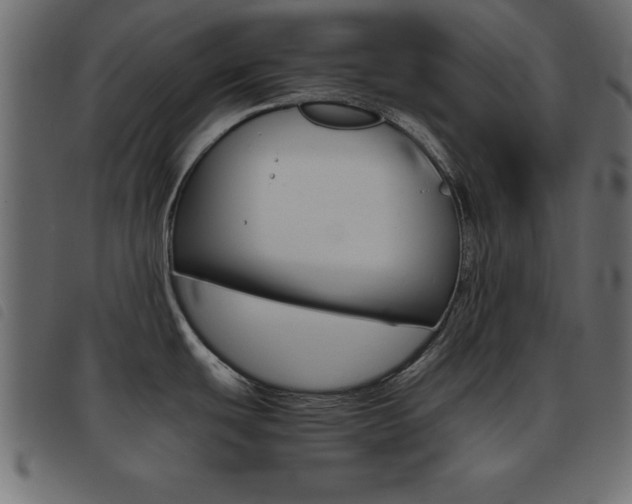 X0000093461439200710120940