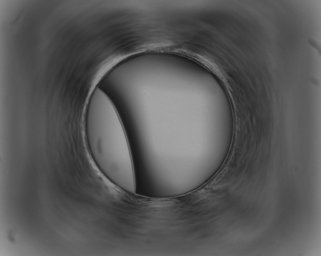 X0000093461440200710120940