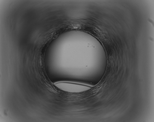 X0000093461442200710120940