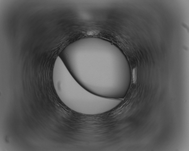 X0000093461443200710120940