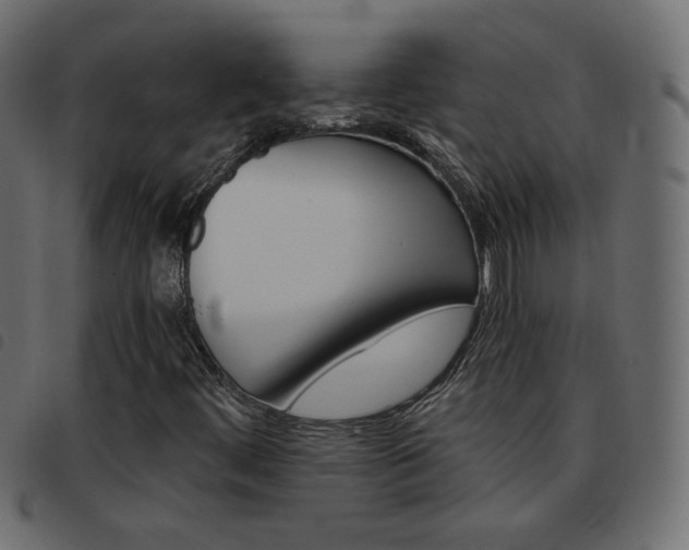 X0000093461444200710120940