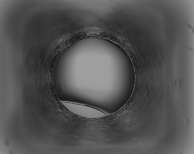 X0000093461445200710120940