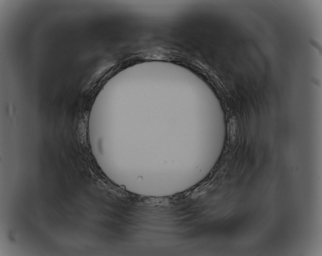 X0000093461446200710120940