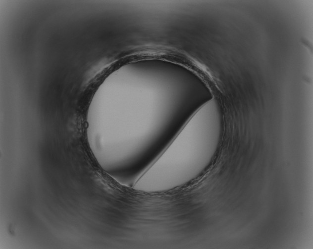X0000093461448200710120940