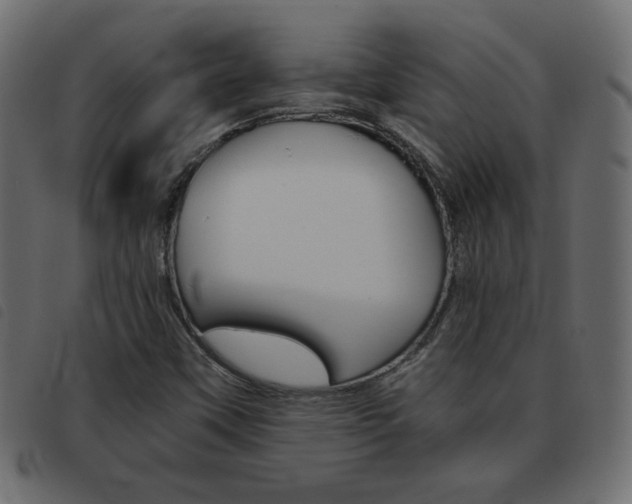 X0000093461451200710120940