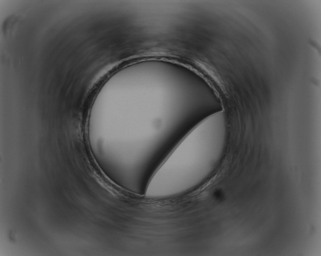 X0000093461452200710120940