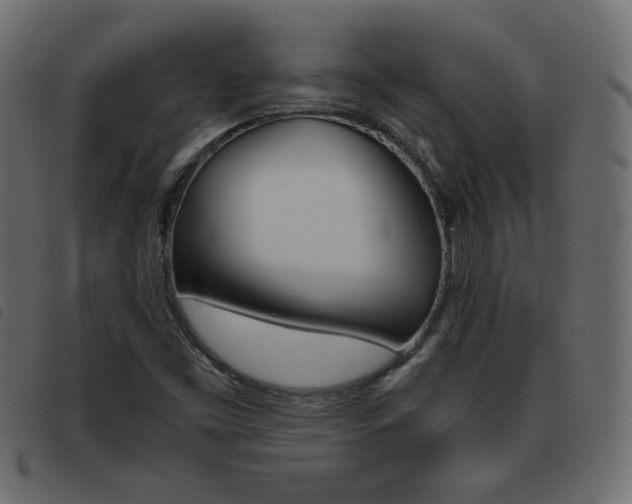 X0000093461453200710120940