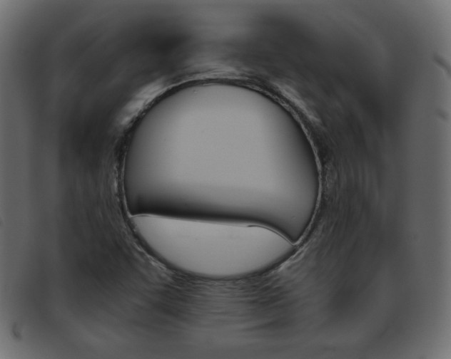 X0000093461455200710120940