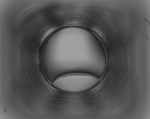 X0000093461458200710120940