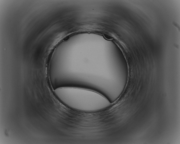 X0000093461459200710120940