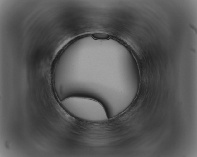 X0000093461460200710120940