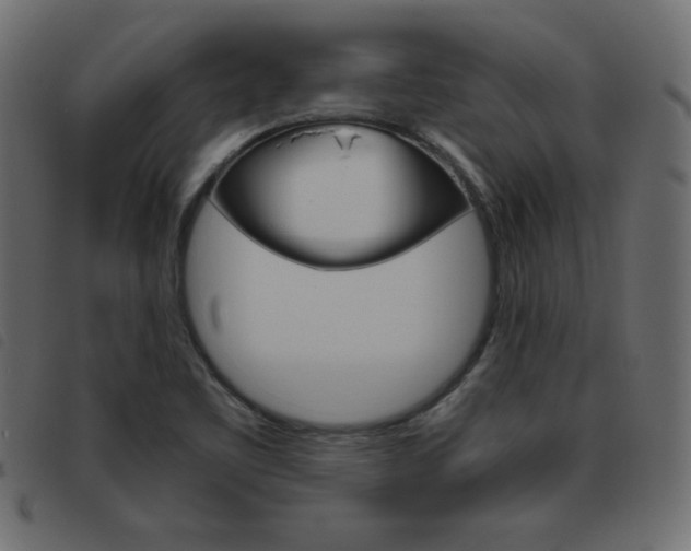 X0000093461461200710120940