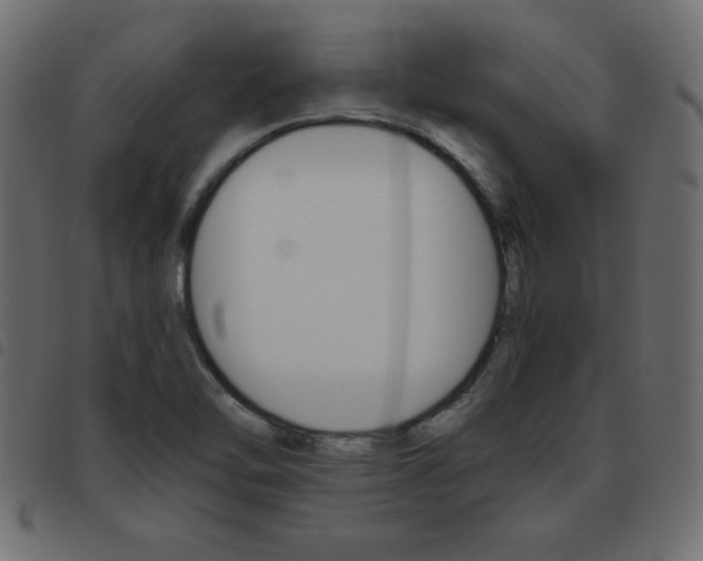X0000093461462200710120940