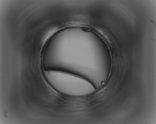 X0000093461463200710120940