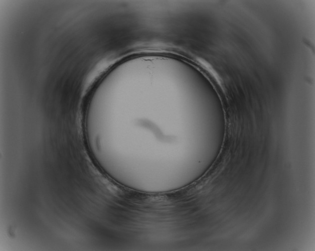 X0000093461464200710120939