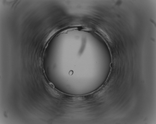 X0000093461465200710120939