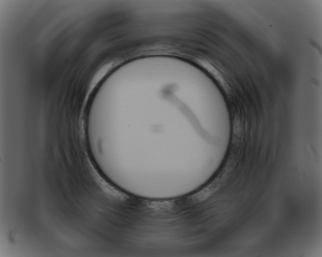 X0000093461466200710120939