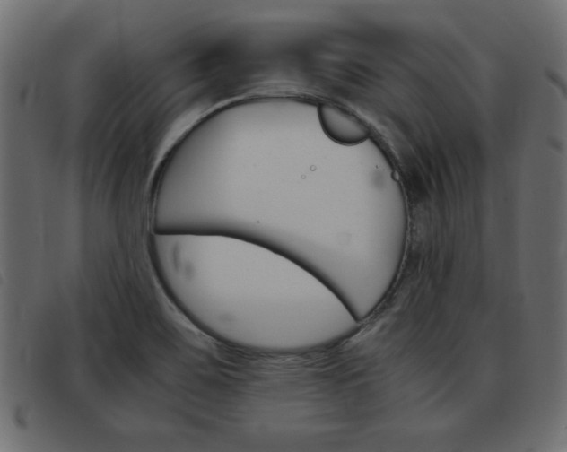 X0000093461467200710120939
