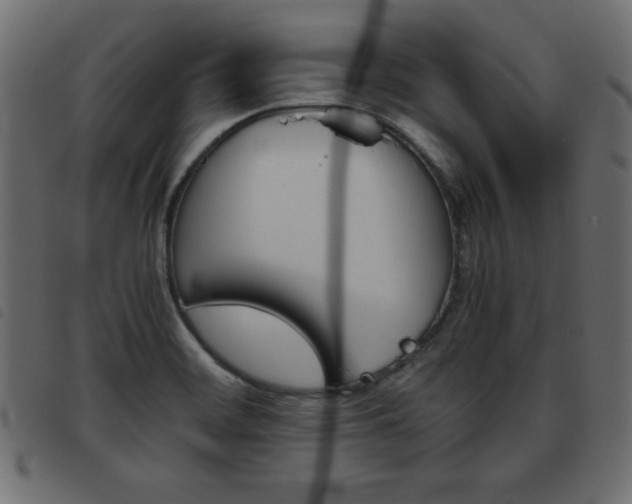 X0000093461468200710120939