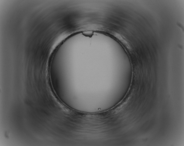 X0000093461469200710120939