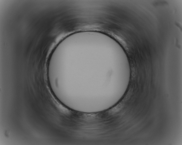 X0000093461470200710120939