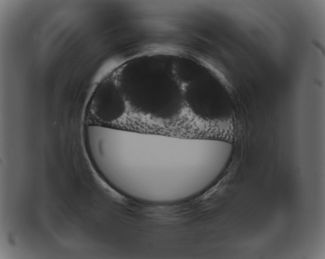 X0000093461471200710120939