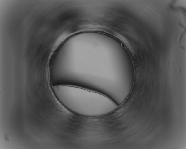 X0000093461472200710120939