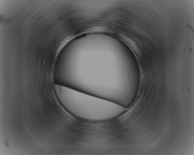 X0000093461473200710120939