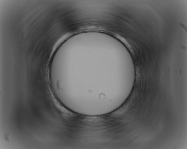X0000093461474200710120939