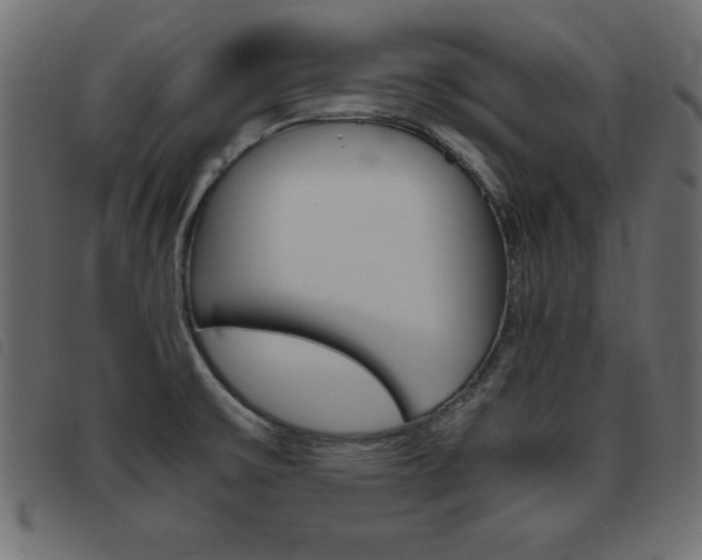 X0000093461475200710120939
