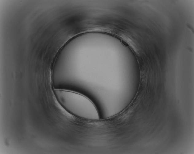 X0000093461476200710120939