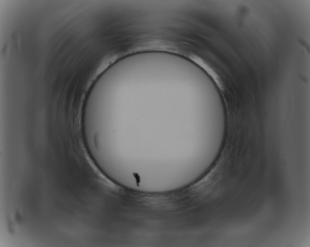 X0000093461477200710120939