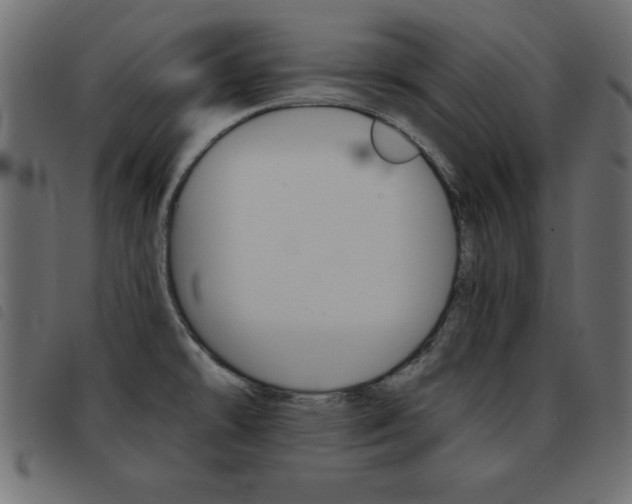 X0000093461478200710120939