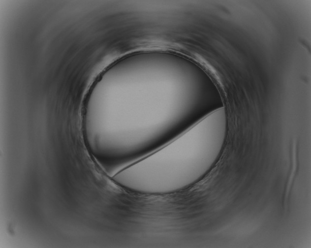 X0000093461480200710120939