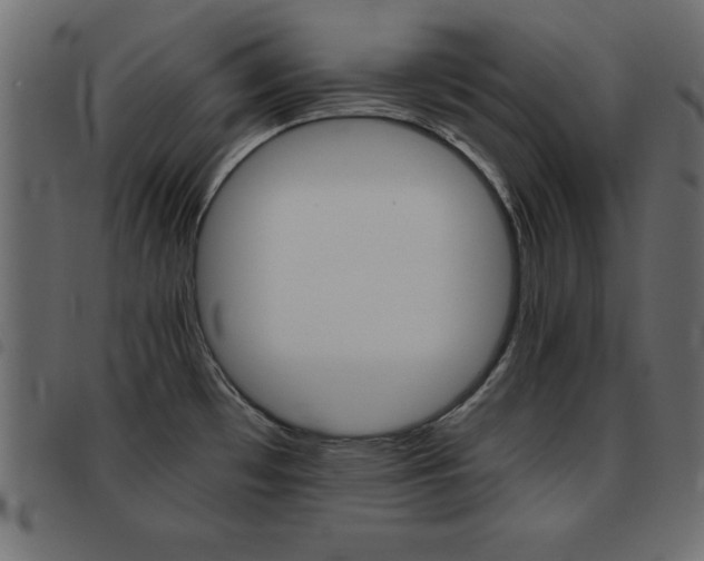 X0000093461481200710120939
