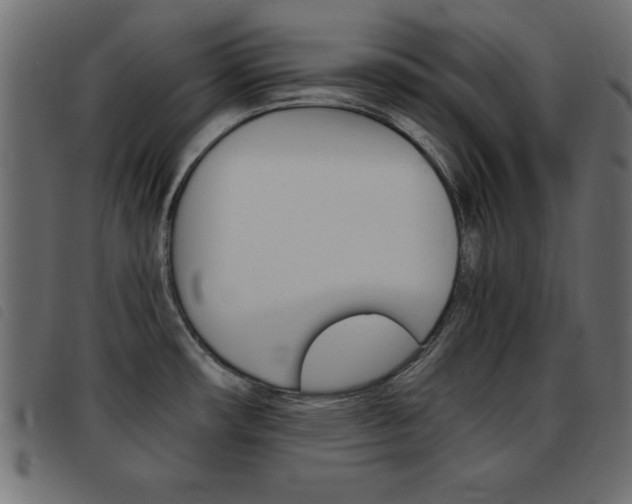 X0000093461482200710120939