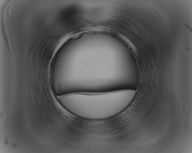 X0000093461483200710120939