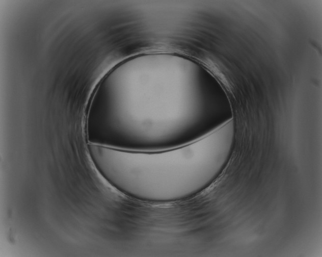 X0000093461484200710120939