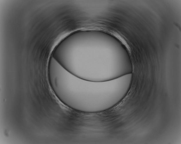 X0000093461485200710120939