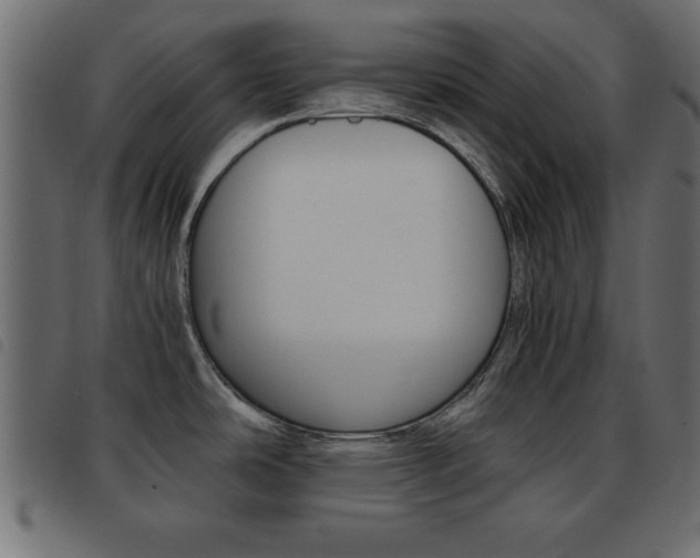X0000093461486200710120939