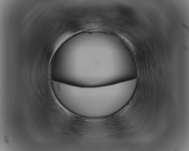 X0000093461487200710120939
