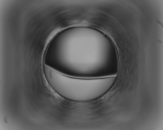 X0000093461488200710120939