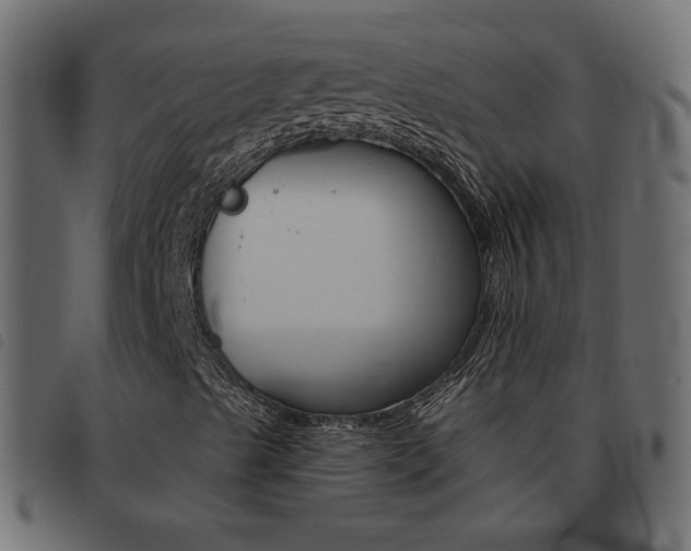 X0000093461489200710120939