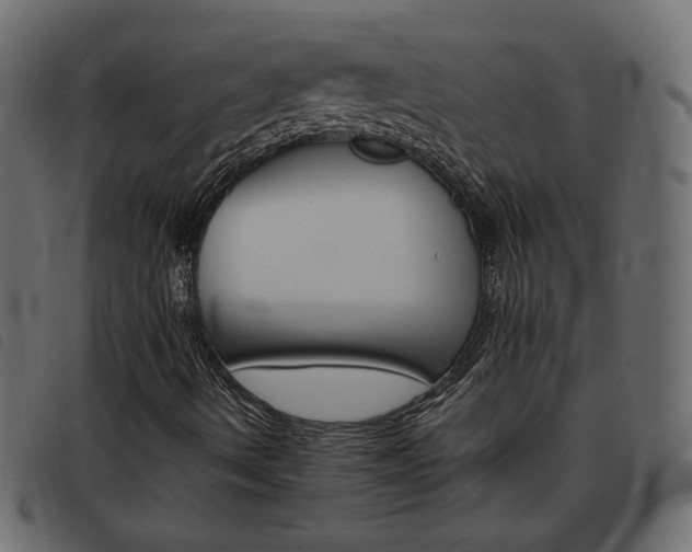 X0000093461490200710120939