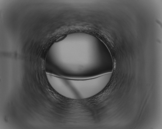 X0000093461492200710120939