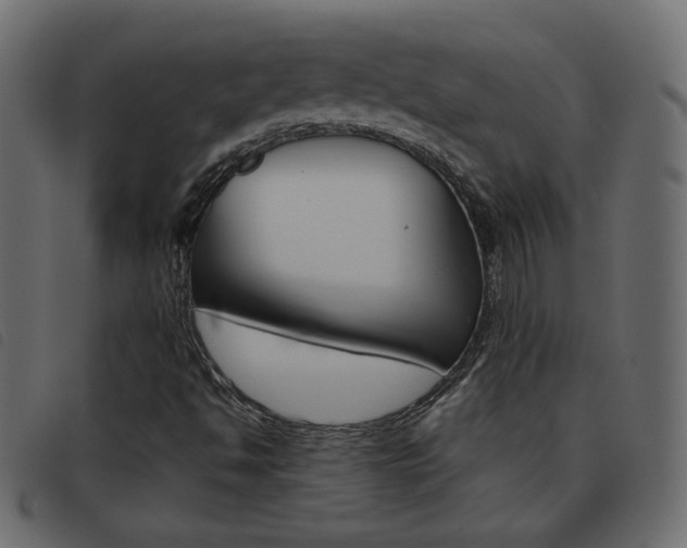 X0000093461494200710120939