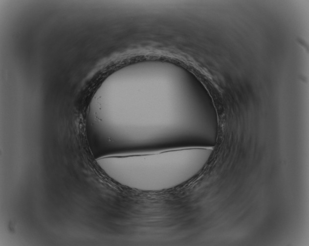 X0000093461495200710120939