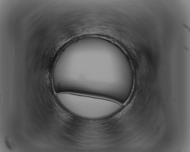 X0000093461497200710120939