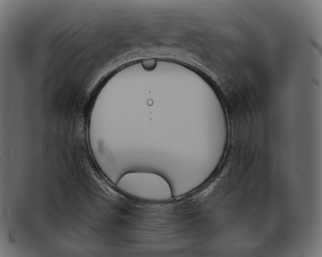 X0000093461498200710120939